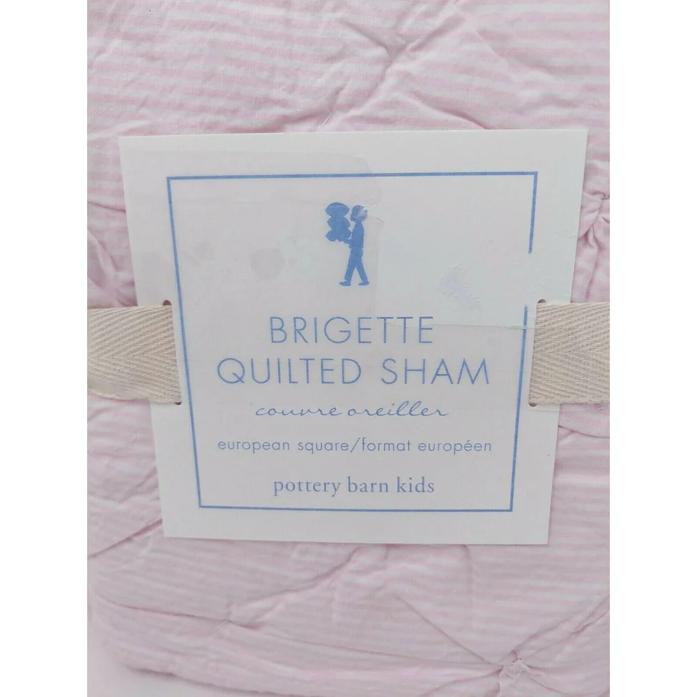 Pottery Barn Kids Brigette Ruffle Quilted Shams Pair 2‎ European Square 26
